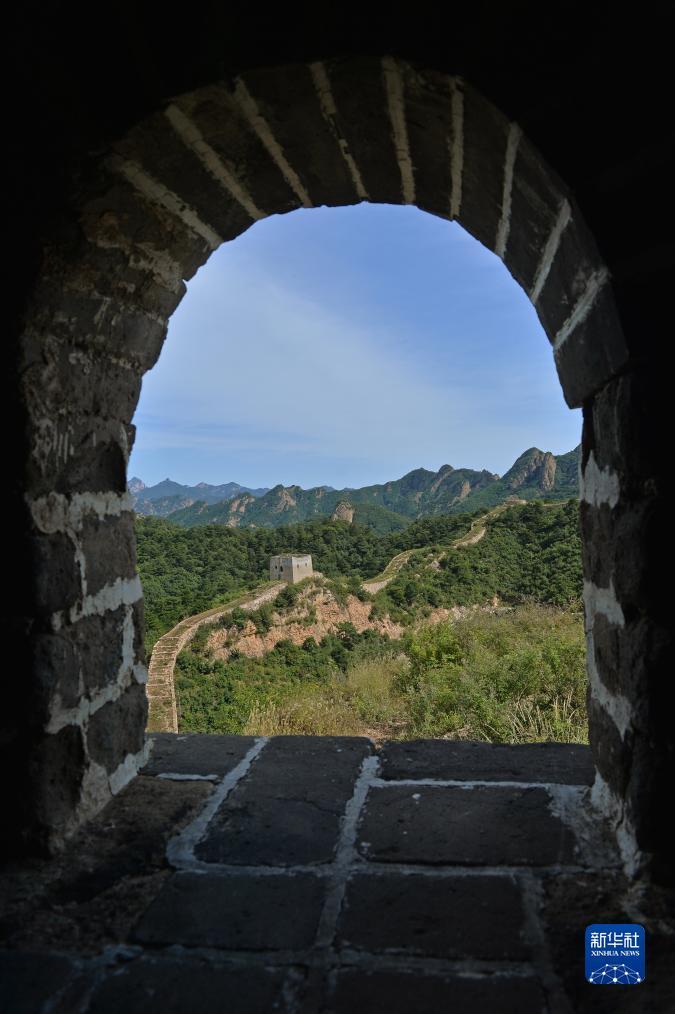 12849彩霸王
